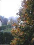 Free Image Hosting at www.ImageShack.us